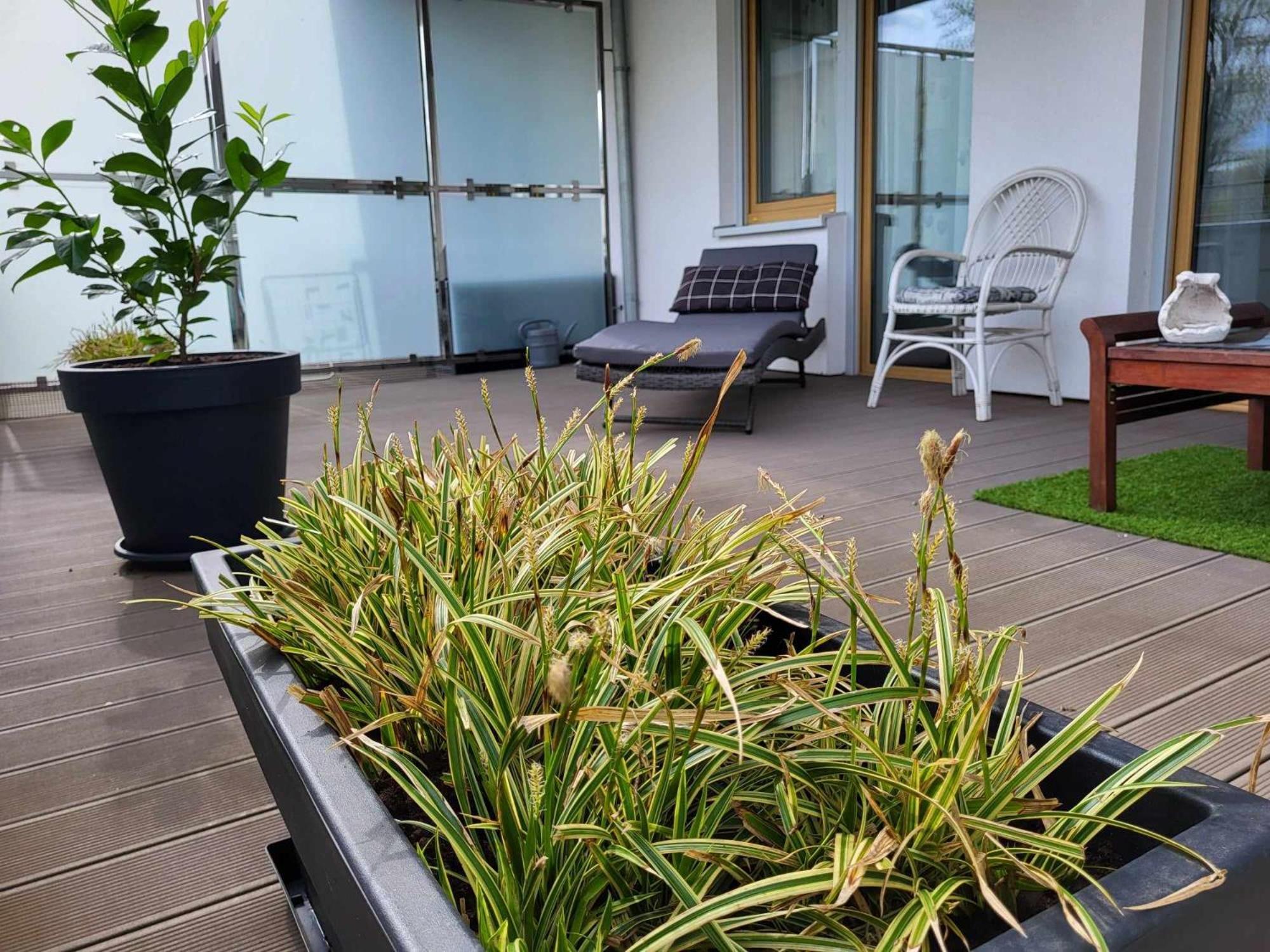 Miodowy Dom Exspanse Apartament 2 Lub 3 Pokoje Z Tarasem I Parkingiem Kolobrzeg Dış mekan fotoğraf